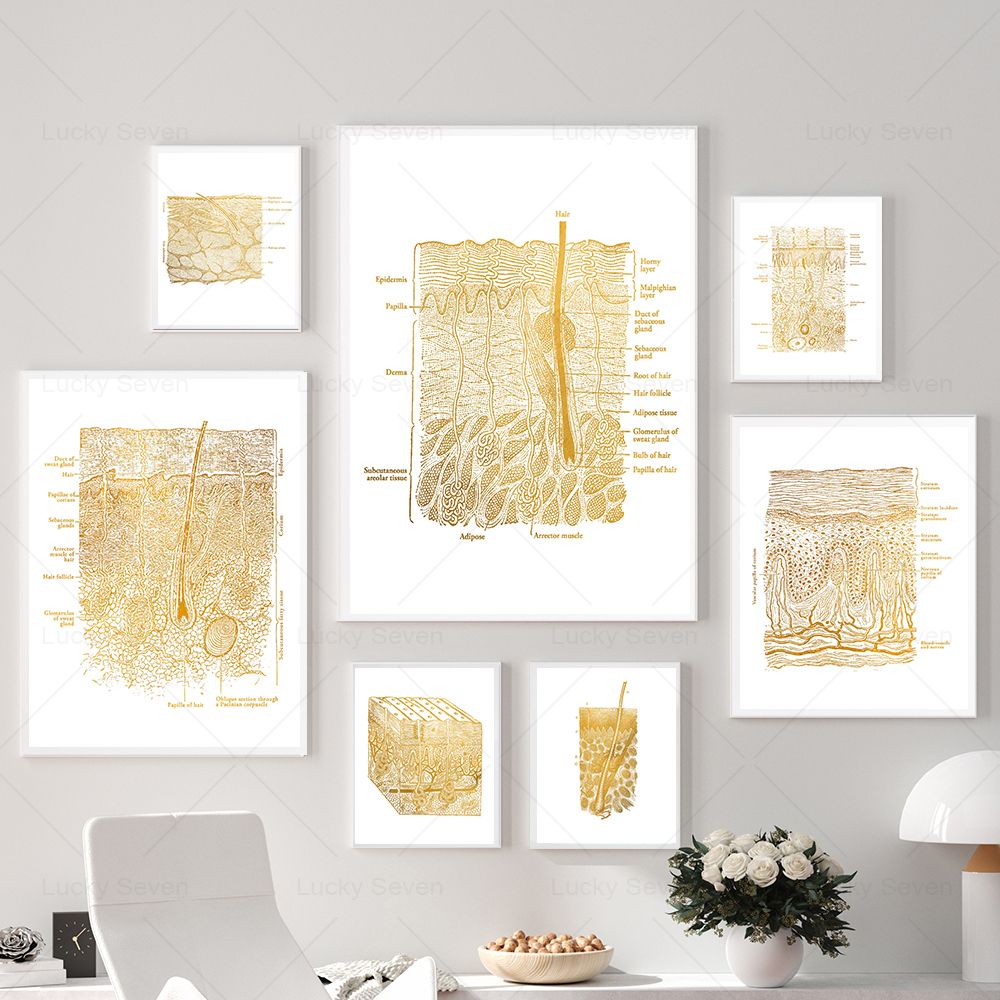 Skincare Ls - Peinture sur toile 2D, affiches d'anatomie